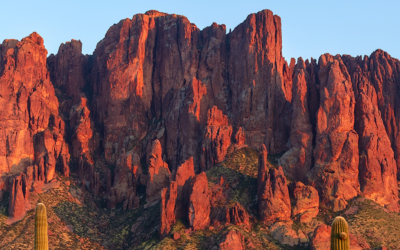 Acquire or Be Acquired